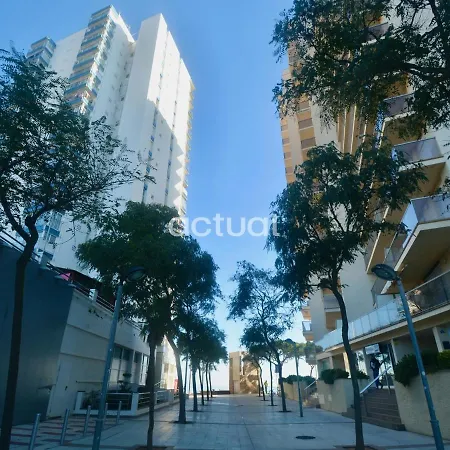 Ely Palace C7 بلاتجا ذارو